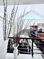 Serangoon Garden Estate (D19), Semi-Detached #630224211